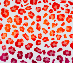 Red Orange Leopard Sublimation Transfer
