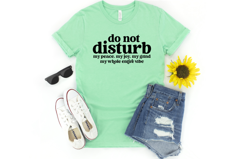 Do Not Disturb Transfer