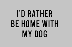 Home with My Dog Transfer