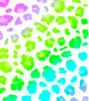 Lime Leopard Sublimation Transfer