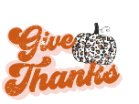 Give Thanks Leopard Pumpkin Hat Patch